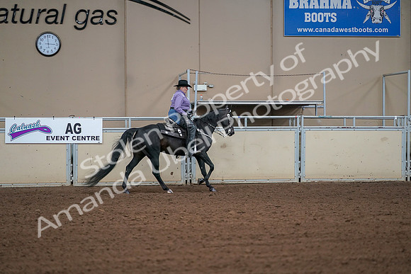2019 Morgan Horse Show - Aug 30, 2019 - 16997