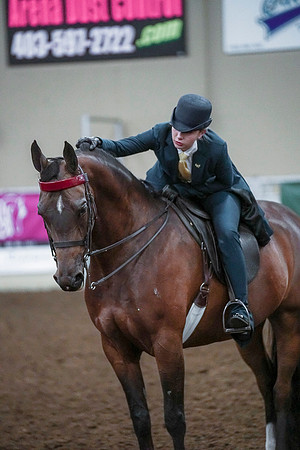 Spring Fling - Saturday - April 20, 2019  -  00866