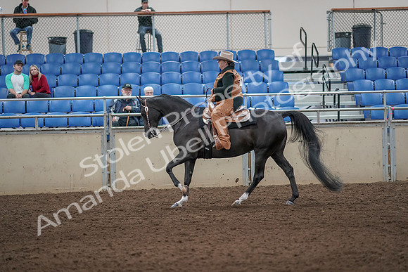 2019 Morgan Horse Show - Aug 31, 2019 - 06081