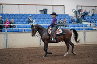 2019 Morgan Horse Show - Aug 31, 2019 - 10553