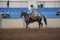 2019 Morgan Horse Show - Aug 31, 2019 - 07147