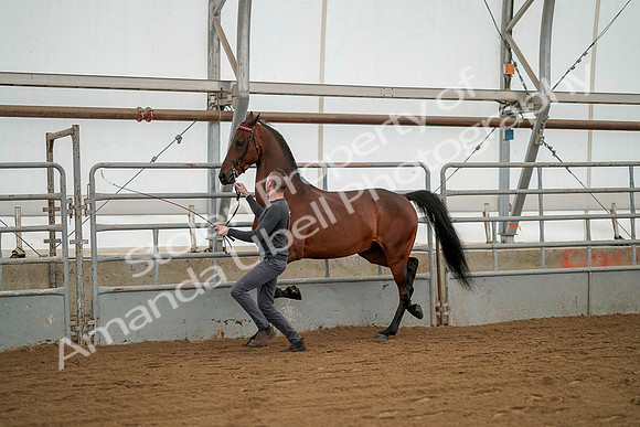 July 19, 2019 - 1251