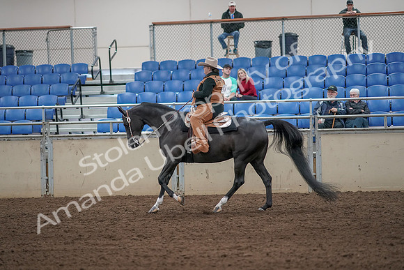 2019 Morgan Horse Show - Aug 31, 2019 - 06090