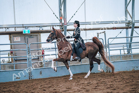 July 20, 2019 - 23930