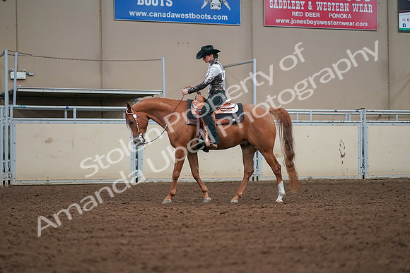 2019 Morgan Horse Show - Aug 30, 2019 - 16788