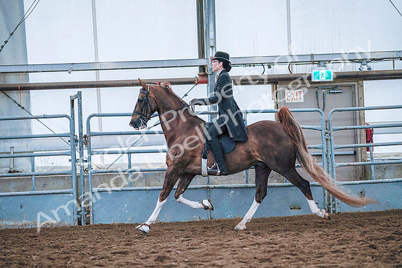 July 20, 2019 - 23853