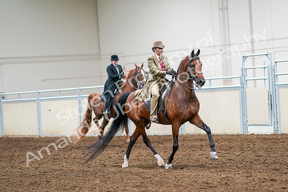 2020 - AB Morgan Horse - Sat, Sept 05 - 08223