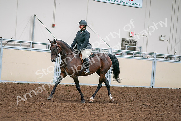 2020 - AB Morgan Horse - Sat, Sept 05 - 09327