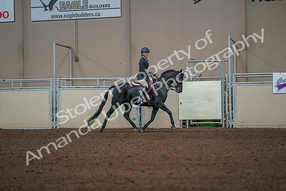 2019 Morgan Horse Show - Aug 31, 2019 - 05177