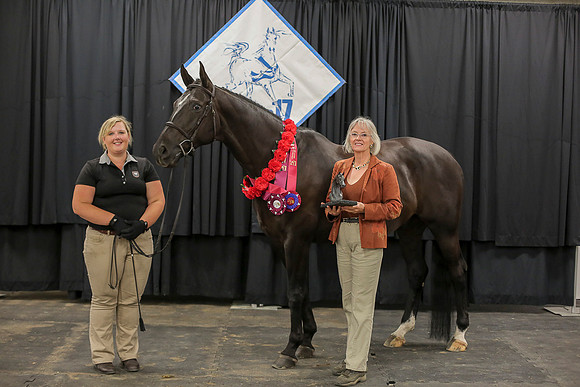 059A0016