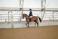 Class 093 - All Breed Hunter Pleasure - Jr-Limit Horse Stake