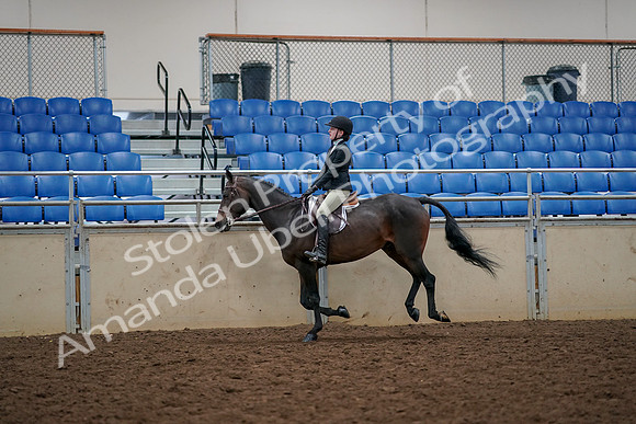 2019 Morgan Horse Show - Aug 30, 2019 - 23450