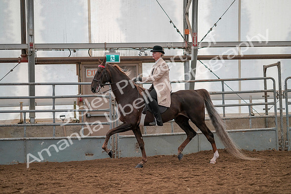 July 19, 2019 - 12849