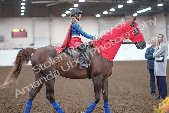 2019 Morgan Horse Show - Aug 31, 2019 - 10012