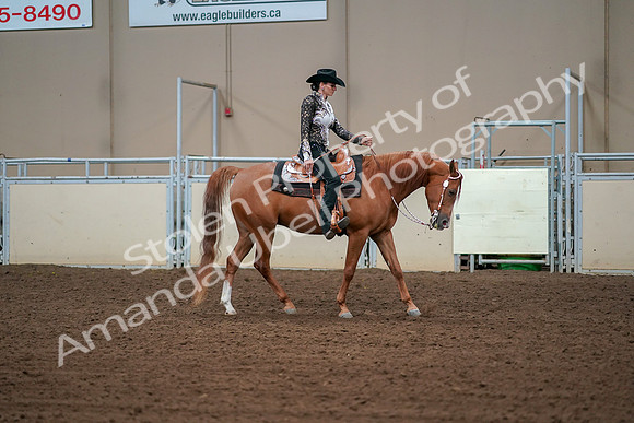 2019 Morgan Horse Show - Aug 30, 2019 - 17016