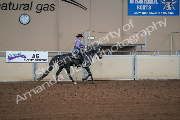 2019 Morgan Horse Show - Aug 30, 2019 - 16996