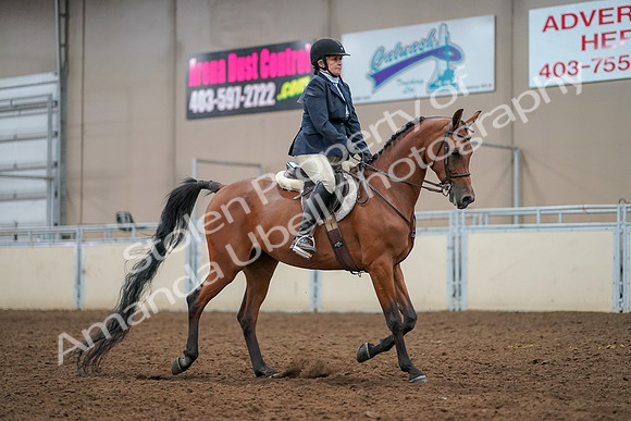 2019 Morgan Horse Show - Aug 30, 2019 - 22591