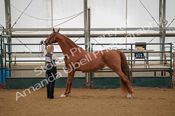 July 19, 2019 - 115