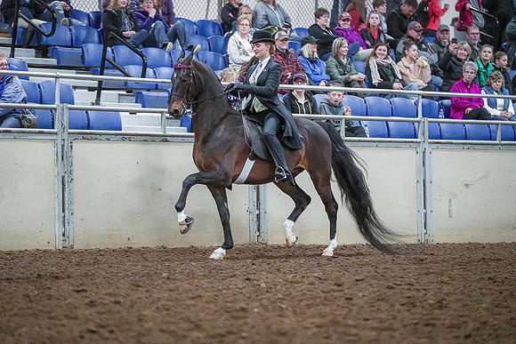 Spring Fling - Saturday - April 20, 2019  -  00483