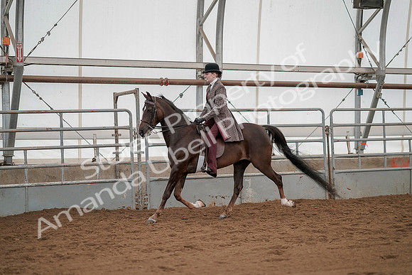 July 20, 2019 - 04237