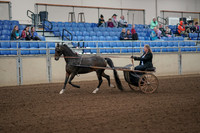 2019 Morgan Horse Show - Aug 31, 2019 - 04224