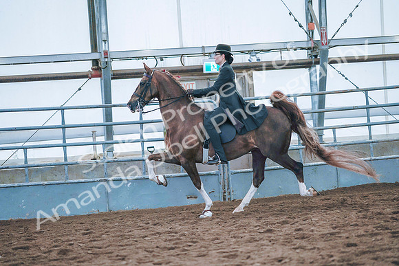 July 20, 2019 - 24155