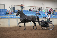 2019 Morgan Horse Show - Aug 31, 2019 - 04626