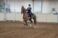 2020 - AB Morgan Horse - Sat, Sept 05 - 06033