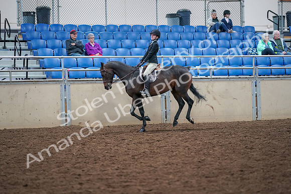 2019 Morgan Horse Show - Aug 30, 2019 - 20560