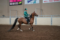 2019 Morgan Horse Show - Aug 30, 2019 - 30630