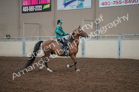 2019 Morgan Horse Show - Aug 30, 2019 - 30630