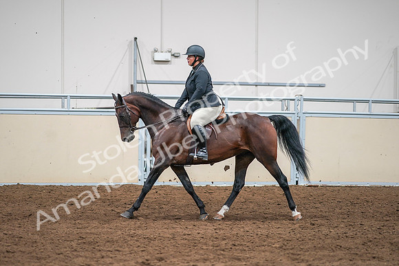 2020 - AB Morgan Horse - Sat, Sept 05 - 09337