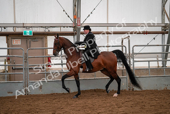 July 19, 2019 - 10282