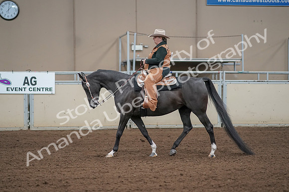 2019 Morgan Horse Show - Aug 31, 2019 - 06064