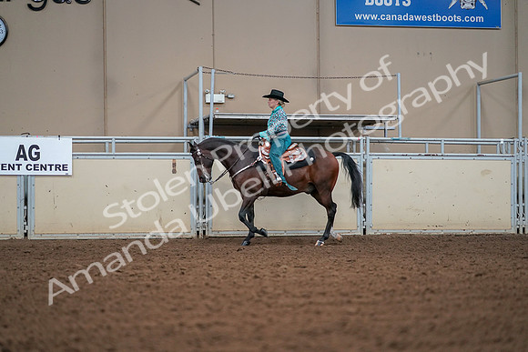 2019 Morgan Horse Show - Aug 30, 2019 - 16806