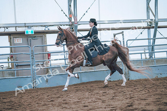 July 20, 2019 - 24148
