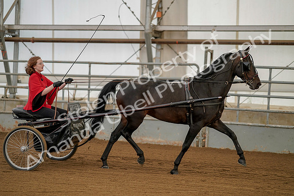 July 20, 2019 - 00245