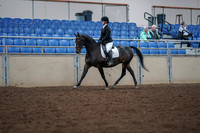 2019 Morgan Horse Show - Aug 30, 2019 - 18289