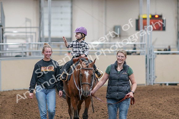 2020 - AB Morgan Horse - Sat, Sept 05 - 10071