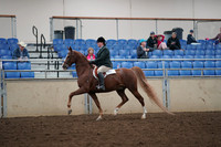 2019 Morgan Horse Show - Aug 31, 2019 - 13787