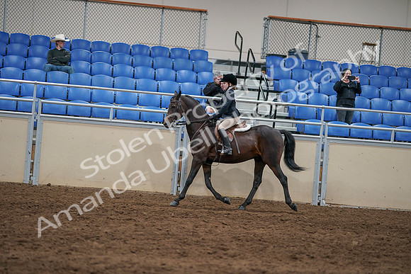 2020 - AB Morgan Horse - Sun, Sept 06 - 07830