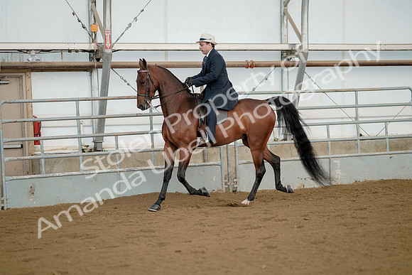 July 21, 2019 - 01553
