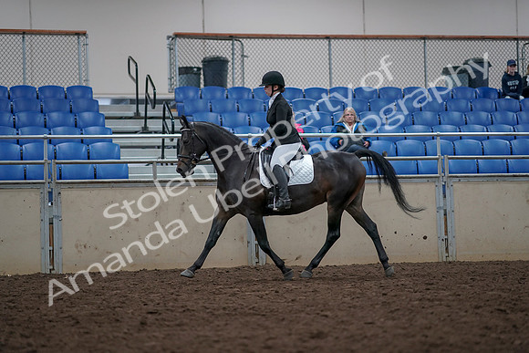 2019 Morgan Horse Show - Aug 31, 2019 - 16648