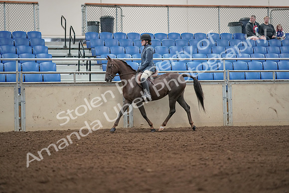 2019 Morgan Horse Show - Aug 31, 2019 - 04898
