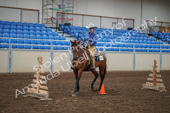 2020 - AB Morgan Horse - Fri, Sept 04 - 00179