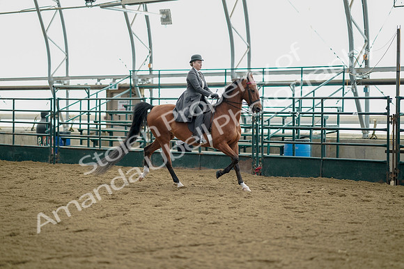 July 21, 2019 - 01704