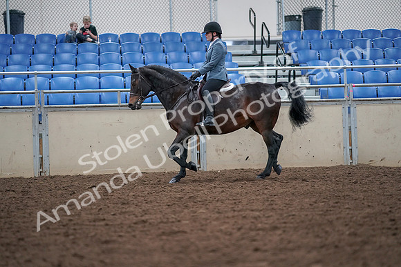2019 Morgan Horse Show - Aug 30, 2019 - 18424