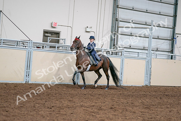 2020 - AB Morgan Horse - Sat, Sept 05 - 04796