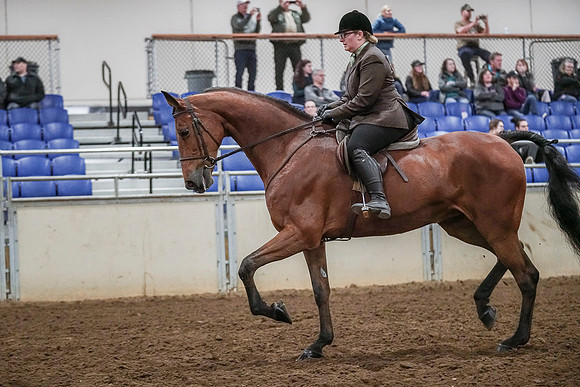 Spring Fling - Saturday - April 20, 2019  -  04604