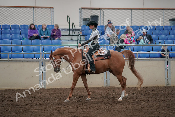 2019 Morgan Horse Show - Aug 30, 2019 - 26110